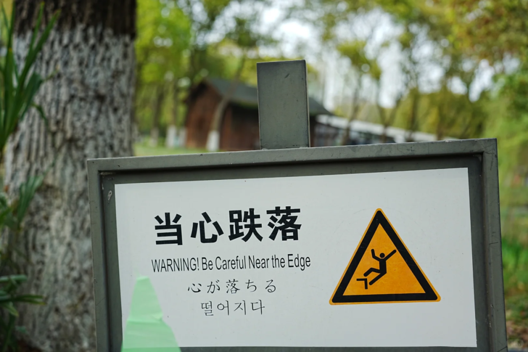 微信图片_2026-10-29_143439_104.png
